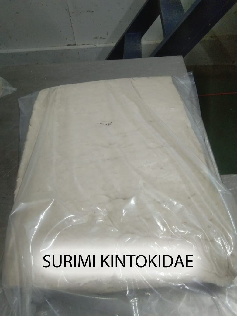 Surimi Kintokidae